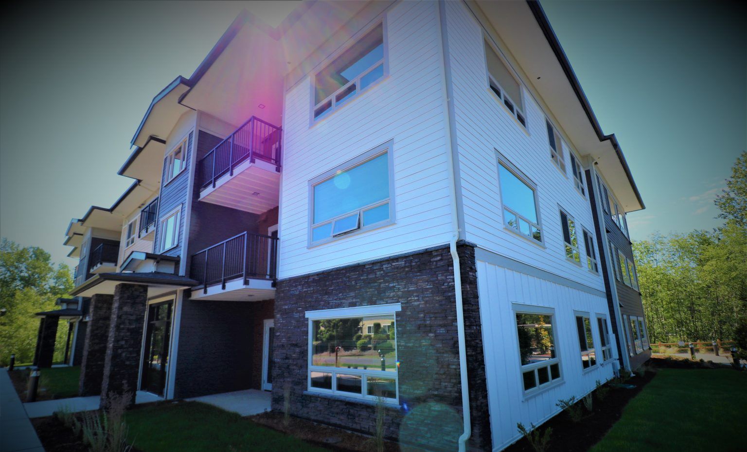Alpine Exteriors James Hardie siding project in Tampa Bay, Florida